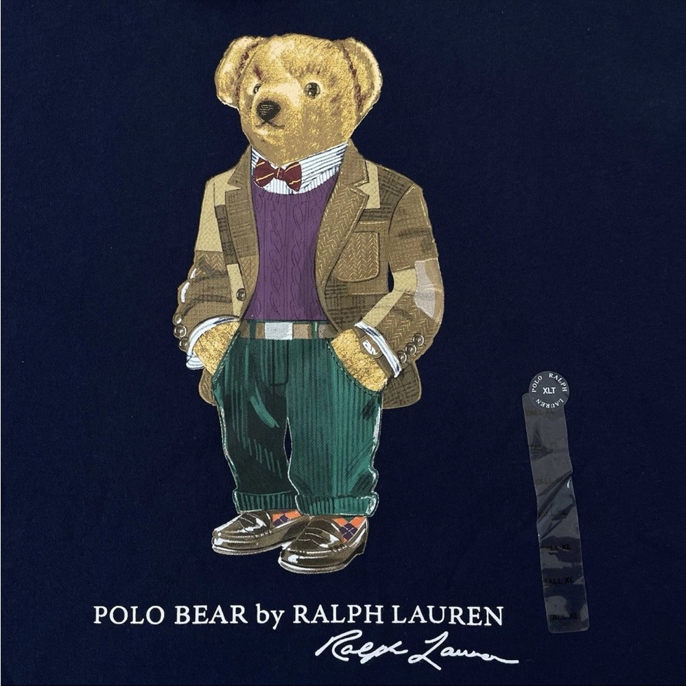 Polo Ralph Lauren Polo Bear Professor Hoodie Coloblock Sweatshirt Size XLT $198